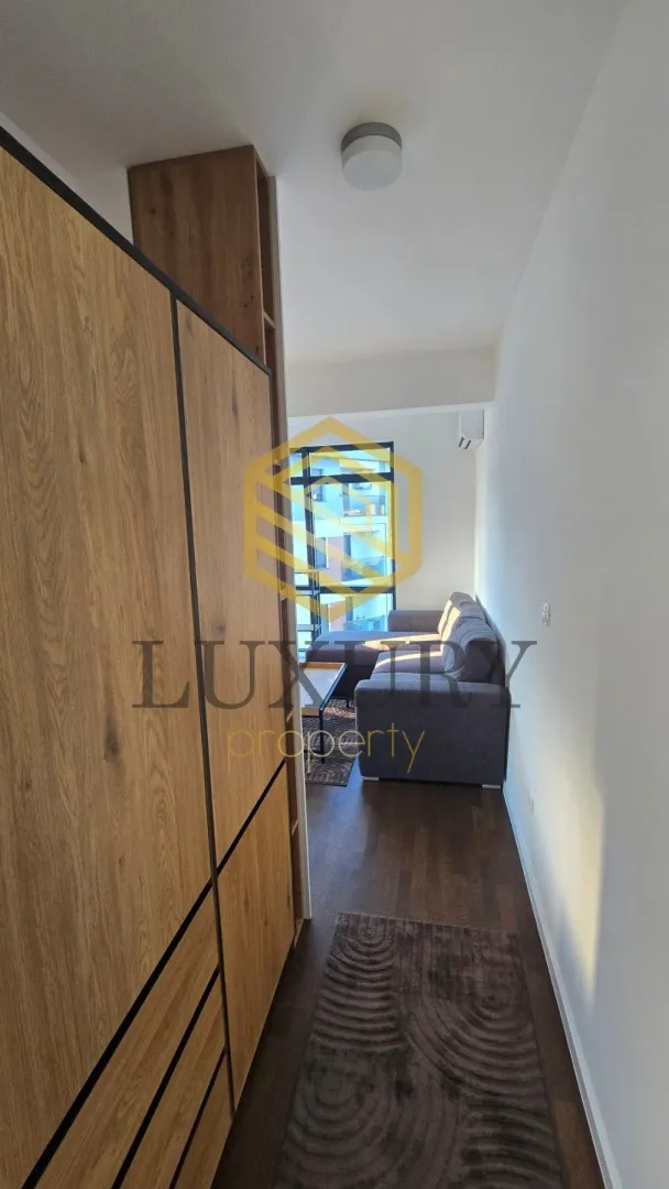 View of the living room with a sofa and built-in closet.