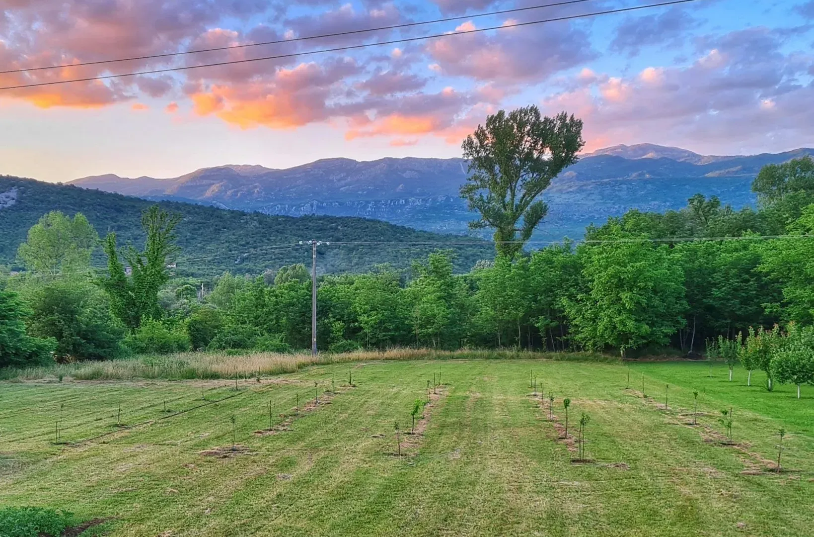 Prodaja, plac, 4430m², Podgorica, Crna Gora