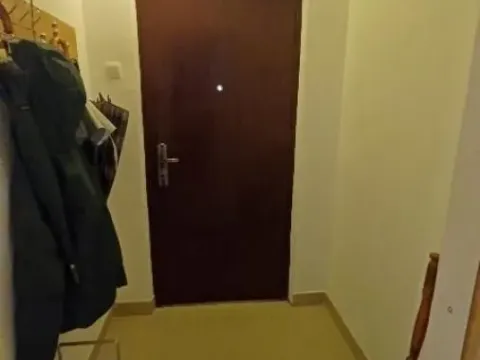 Prodaja, trosoban stan, 66m², Zemun Kalvarija, Zemun Sve Podlokacije - image 13