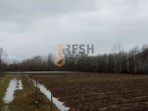 Prodaja, plac, 15000m², Danilovgrad, Crna Gora - image 4