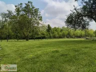 Prodaja, kuća, 628m², Čukarica, Beograd - image 13