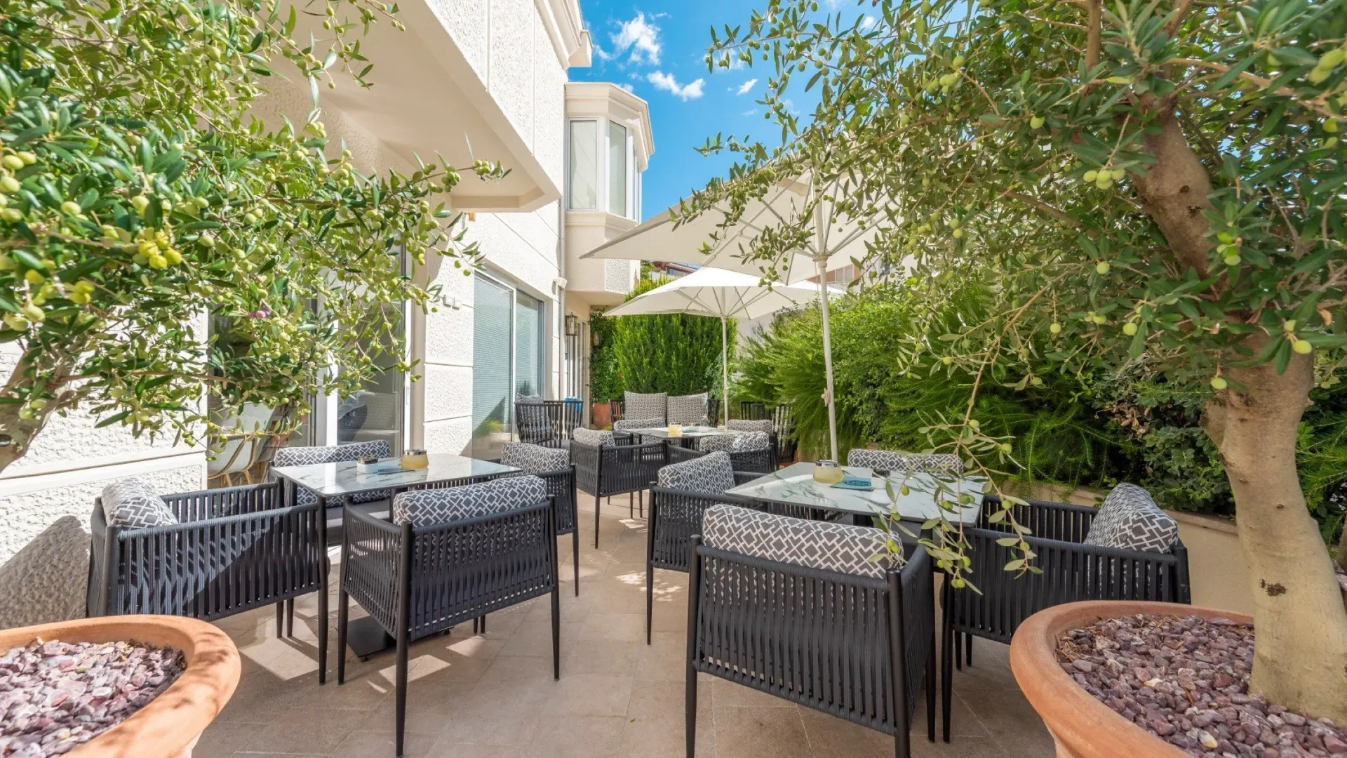 Sale, hospitality venue, 317m², Budva, Crna Gora