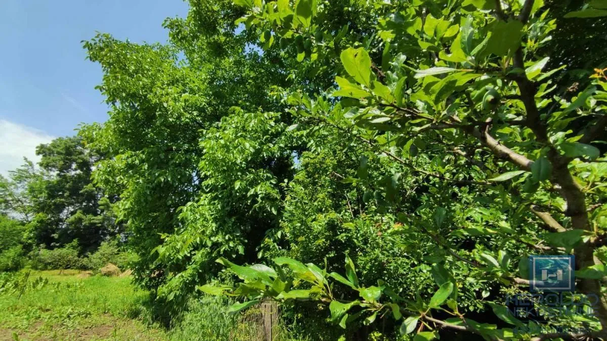 Prodaja, kuća, 75m², Ribare, Jagodina