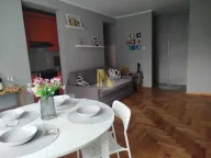 Izdavanje, dvosoban stan, 47m², Podbara, Novi Sad Sve Podlokacije - image 1