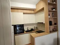 Izdavanje, jednosoban stan, 45m², Zabjelo, Podgorica - image 11