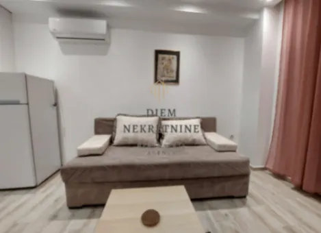 Izdavanje, jednosoban stan, 45m², Kava, Tivat - image 7