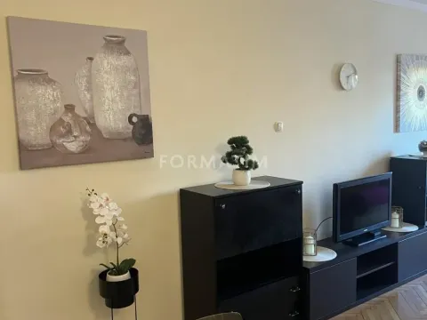 Izdavanje, dvosoban stan, 55m², Savski Venac, Beograd - image 11