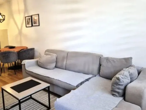 Izdavanje, jednosoban stan, 49m², Central Point, Podgorica