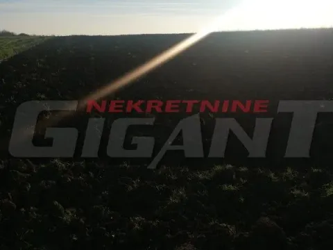 Prodaja, plac, Dobanovci, Surčin - image 3