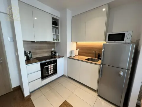 Izdavanje, dvosoban stan, 55m², Savski Venac, Beograd - image 3