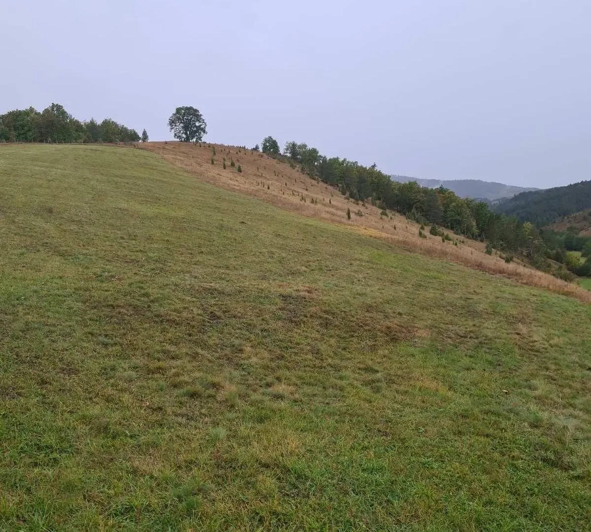 Prodaja, plac, 3900m², Centar, Zlatibor