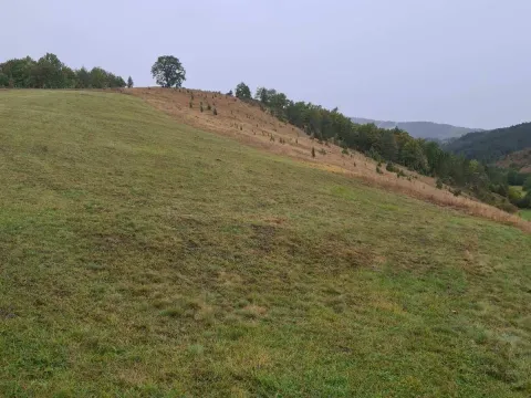 Prodaja, plac, 3900m², Centar, Zlatibor - image 2