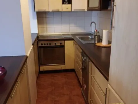 Izdavanje, dvosoban stan, 52m², Vračar Sve Podlokacije, Beograd - image 8