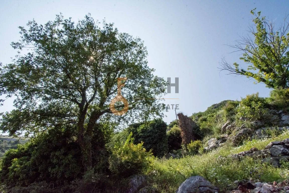 Prodaja, plac, 22107m², Budva, Crna Gora