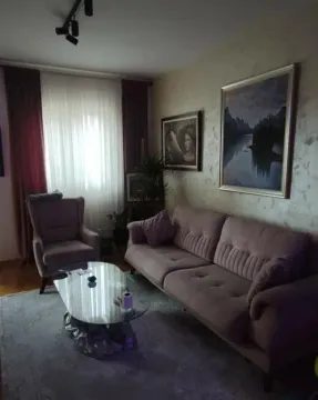 Rent, one bedroom apartment, 46m², Zagorič, Podgorica - image 8