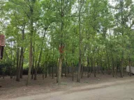 Prodaja, kuća, 228m², Kelebija, Subotica - image 13