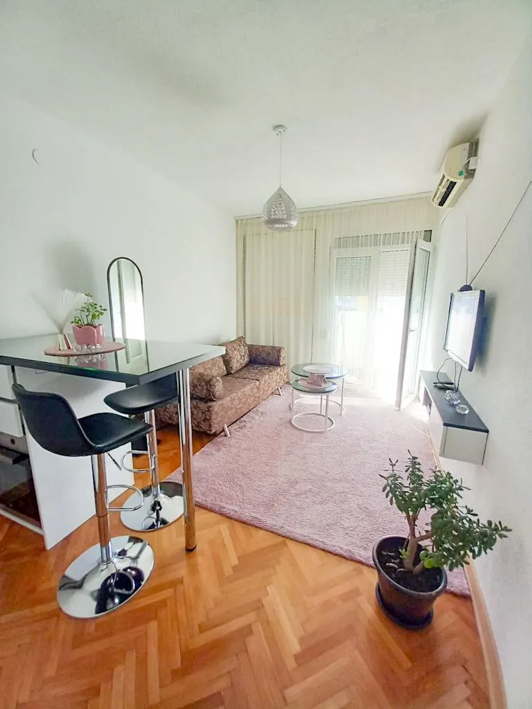 Izdavanje, jednosoban stan, 20m², Gintaš, Podgorica