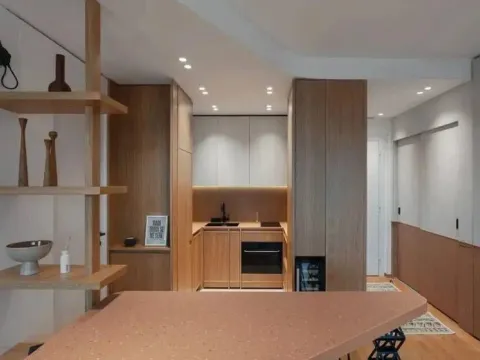 Prodaja, dvosoban stan, 49m², Dorćol Sve Podlokacije, Beograd - image 6