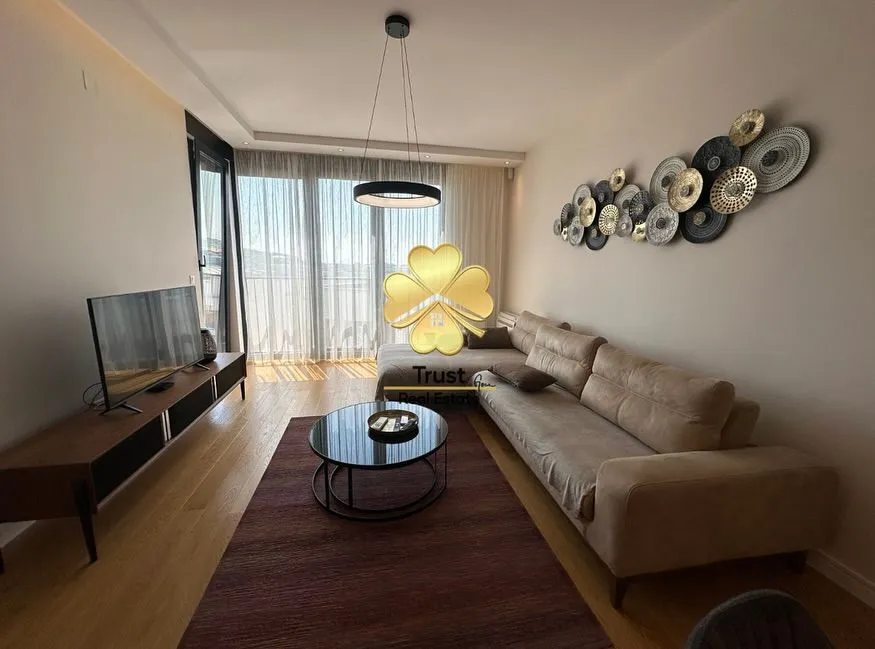 Izdavanje, jednosoban stan, 56m², Podgorica, Crna Gora