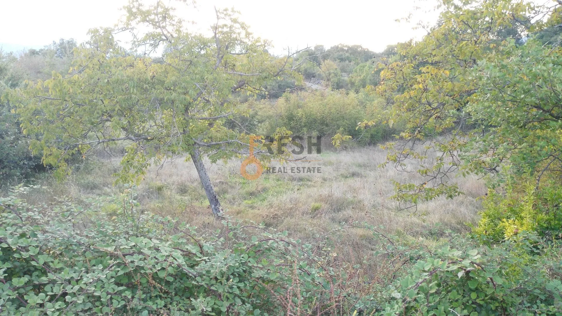 Prodaja, plac, 28000m², Danilovgrad, Crna Gora