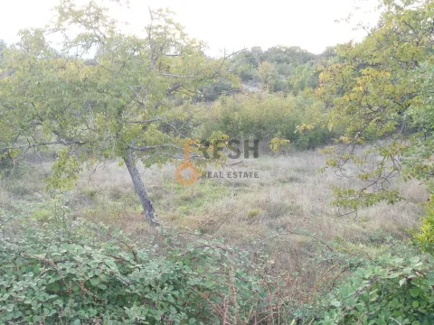 Prodaja, plac, 28000m², Danilovgrad, Crna Gora - image 10