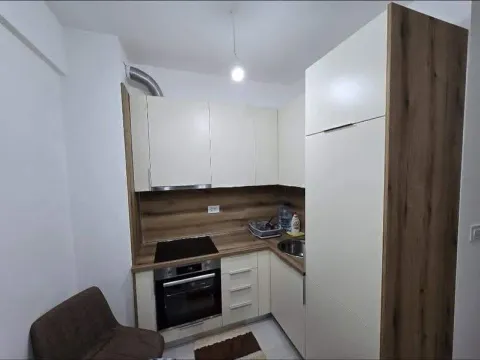 Rent, one bedroom apartment, 44m², Zabjelo, Podgorica - image 2