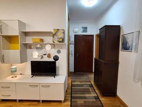 Rent, one bedroom apartment, 34m², Grbavica, Novi Sad Sve Podlokacije - image 7