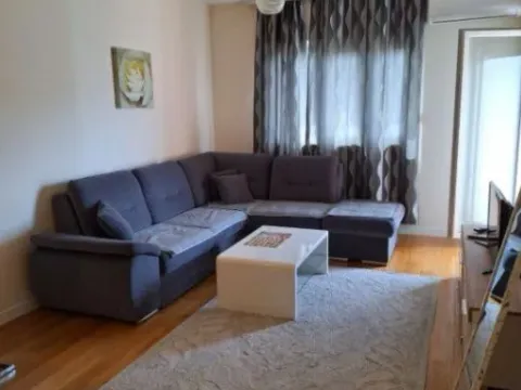 Izdavanje, jednosoban stan, 49m², Central Point, Podgorica - image 2
