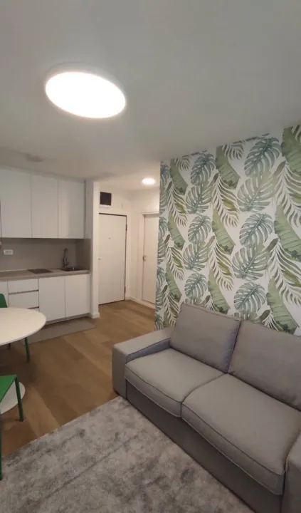Rent, one bedroom apartment, 36m², Preko Morače, Podgorica