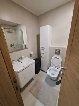 Modernly equipped bathroom with a washbasin, toilet, and shower cabin. - image 8