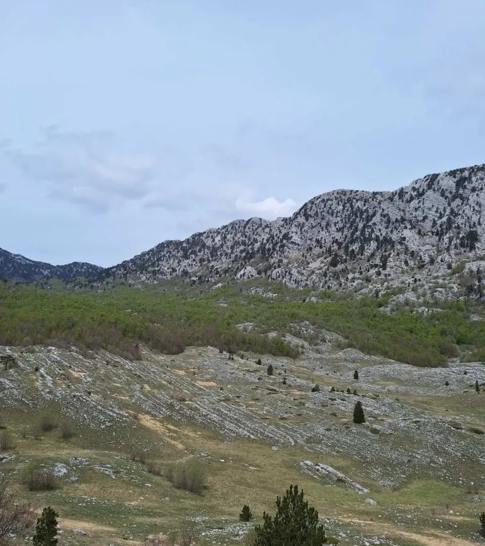 Prodaja, plac, 6368373m², Kotor, Crna Gora