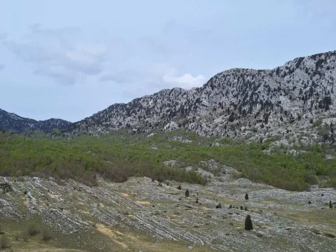 Prodaja, plac, 6368373m², Kotor, Crna Gora - image 3