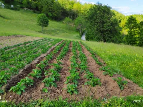 Prodaja, plac, 30905m², Mojkovac, Crna Gora - image 5