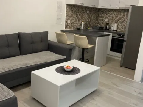 Stan-na-dan, jednosoban stan, 31m², Stari Aerodrom, Podgorica - image 6