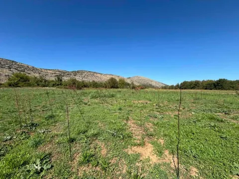 Prodaja, plac, 9569m², Botun, Podgorica - image 1