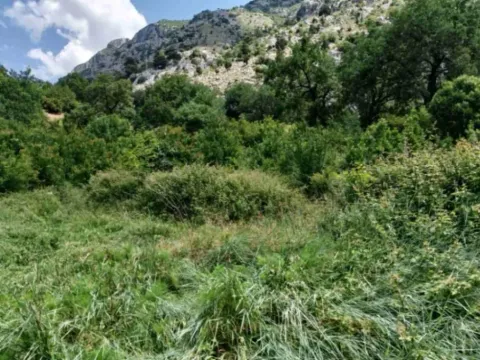 Prodaja, plac, 1740m², Kotor, Crna Gora - image 7