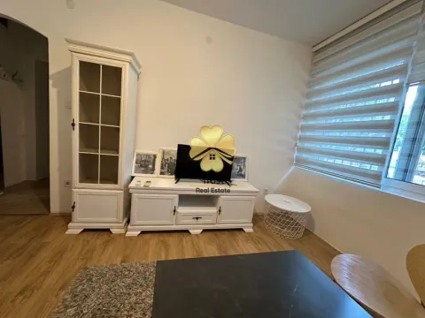 Izdavanje, garsonjera, 20m², Preko Morače, Podgorica - image 3