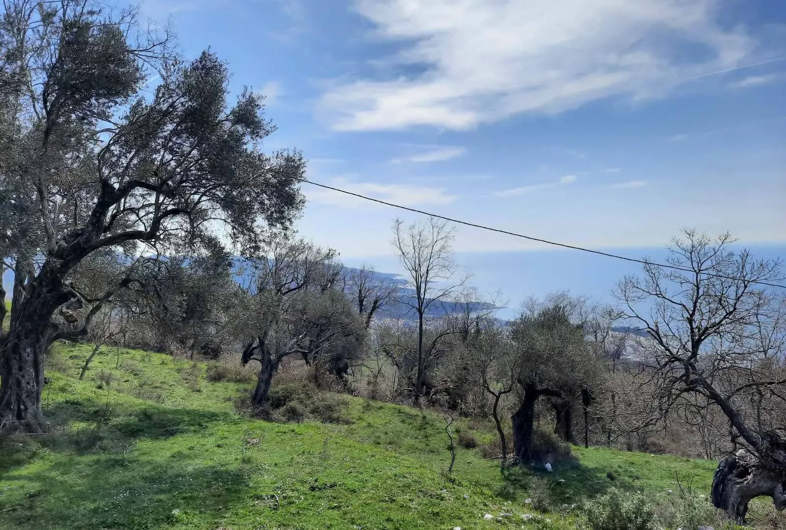 Prodaja, plac, 2600m², Bar, Crna Gora