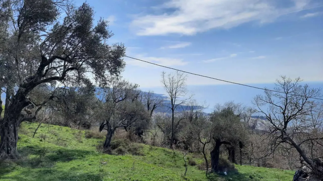 Sale, land lot, 2600m², Bar, Crna Gora