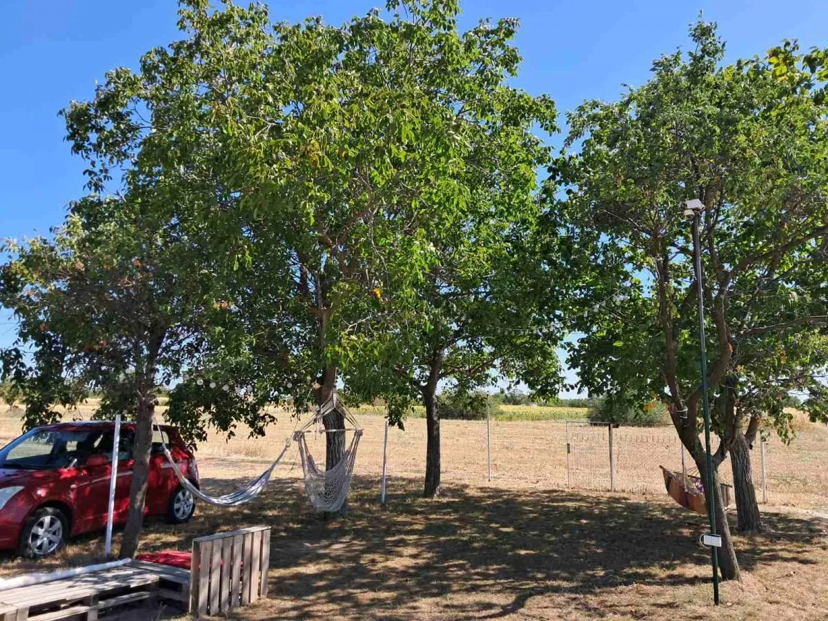 Prodaja, kuća, 35m², Elemir, Zrenjanin