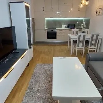 Izdavanje, jednosoban stan, 45m², Zabjelo, Podgorica - image 1