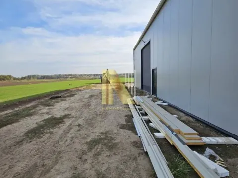 Izdavanje, poslovni prostor, 250m², Novi Sad, Srbija - image 8