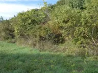 Sale, land lot, 1700m², Reževići, Budva - image 6