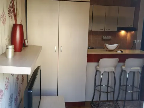 Izdavanje, garsonjera, 25m², Stari Aerodrom, Podgorica - image 6