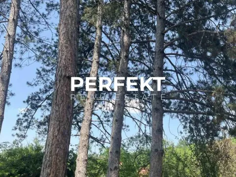 Prodaja, kuća, 43m², Alibunar, Srbija - image 9