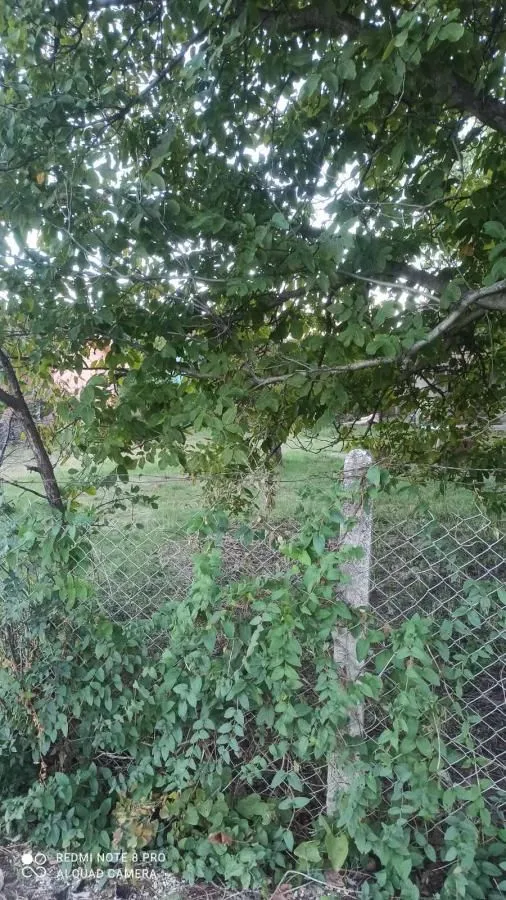 Prodaja, kuća, 32m², Crvene livade, Jagodina
