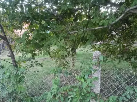 Prodaja, kuća, 32m², Crvene livade, Jagodina - image 10