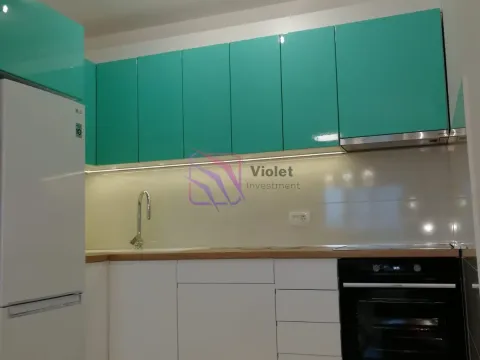 Rent, one bedroom apartment, 49m², Central Point, Podgorica - image 2