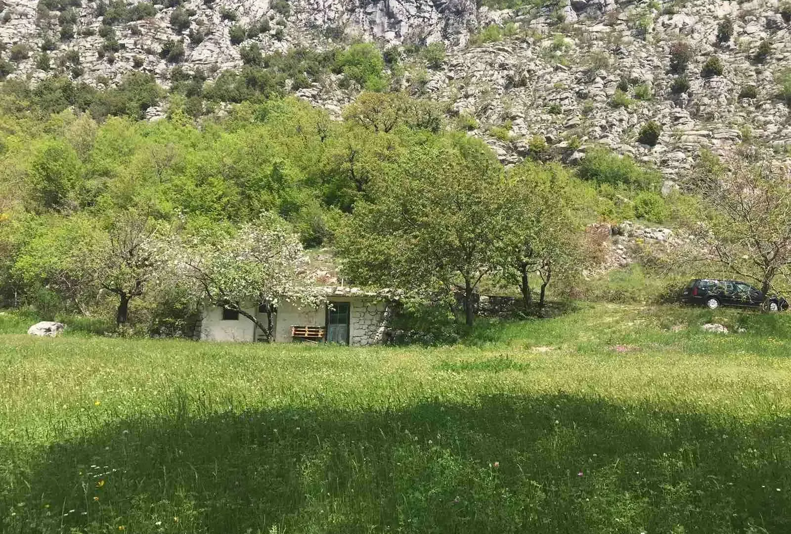 Prodaja, plac, 5000m², Danilovgrad, Crna Gora