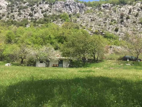 Prodaja, plac, 5000m², Danilovgrad, Crna Gora - image 6